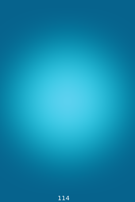 Day 114